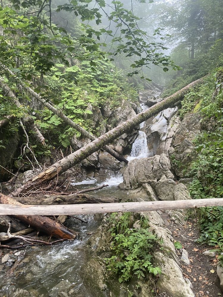 Photograph by Елена Мусина