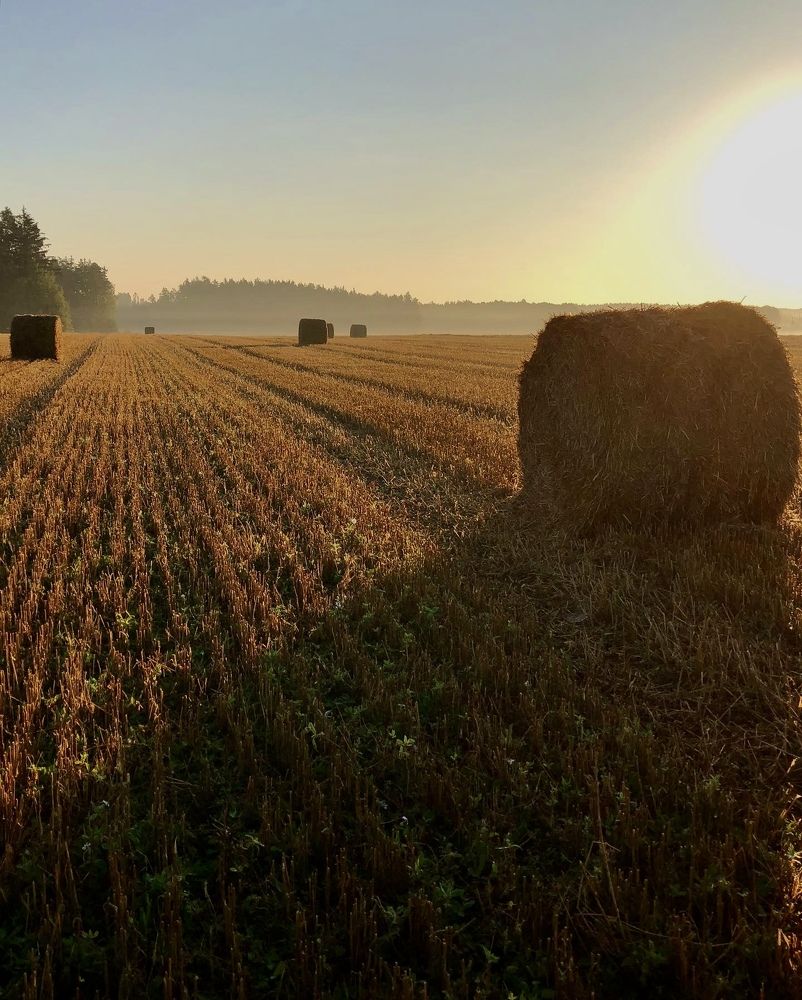 Photograph by Лариса Акинчиц
