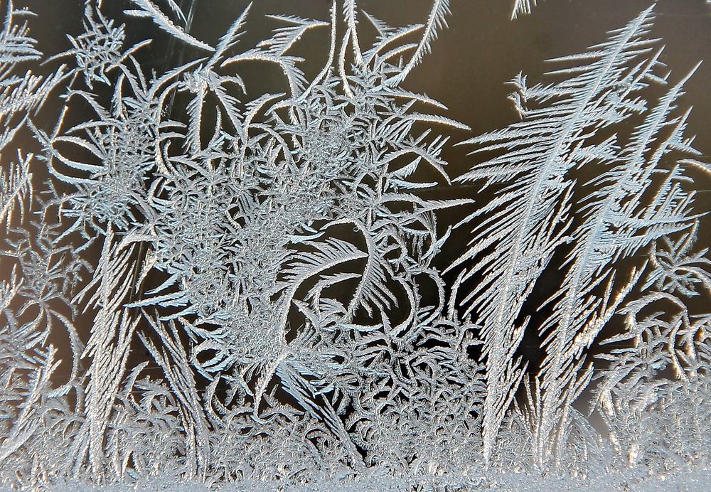 Photograph by Sergei Petrov