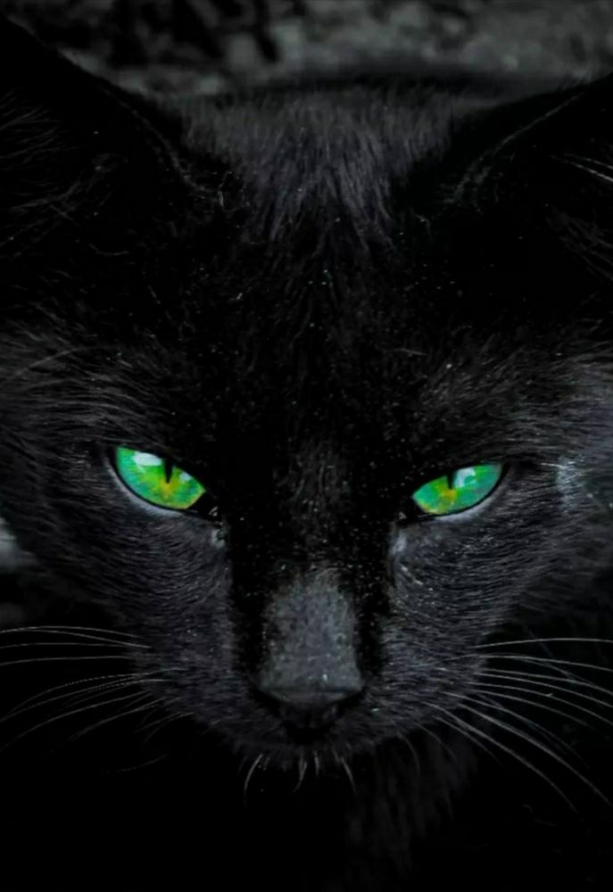 Photograph by Татьяна Слободчикова