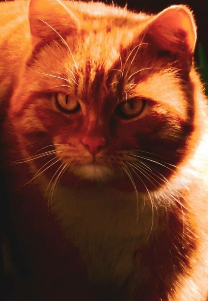 Photograph by Татьяна Слободчикова