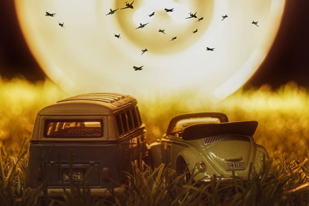 Фотография автора Максим Светличный