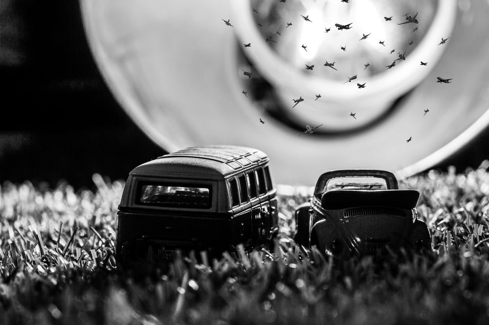 Фотография автора Максим Светличный