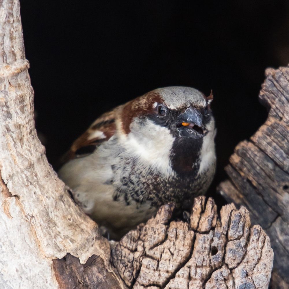 Photograph by Максим Фролов