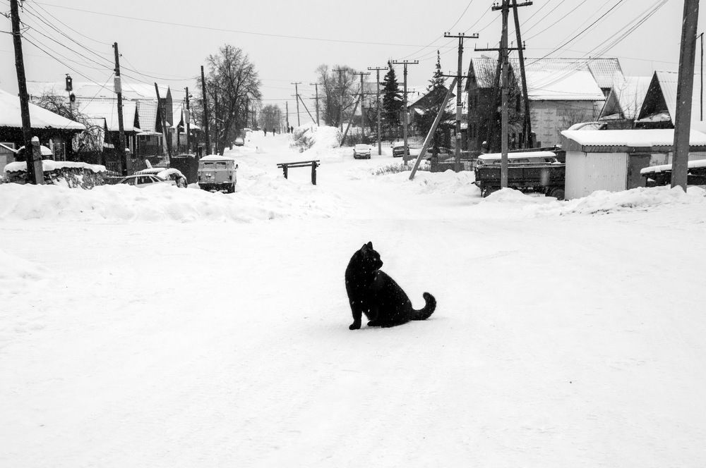 Photograph by Ольга Шуякова