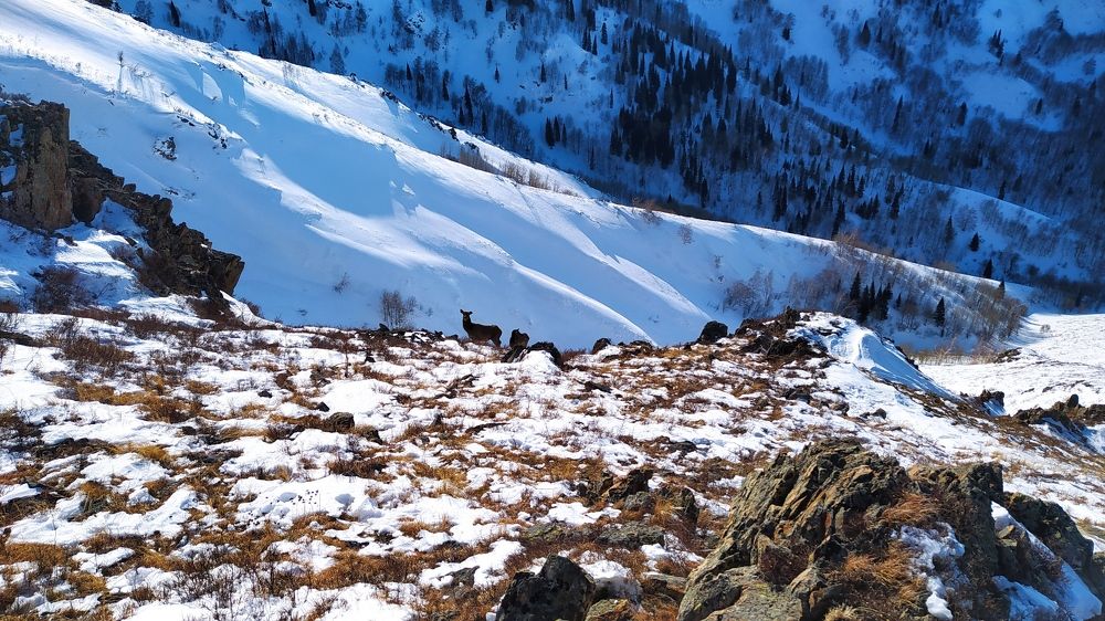 Photograph by Александр Исаченко