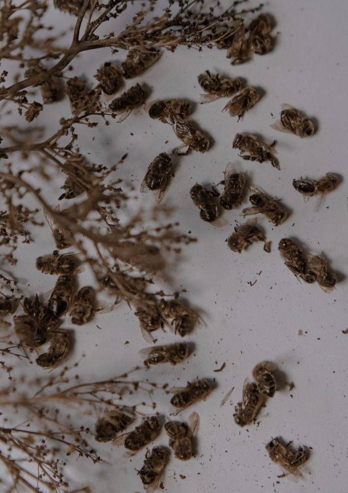 Photograph by Мария Лямина