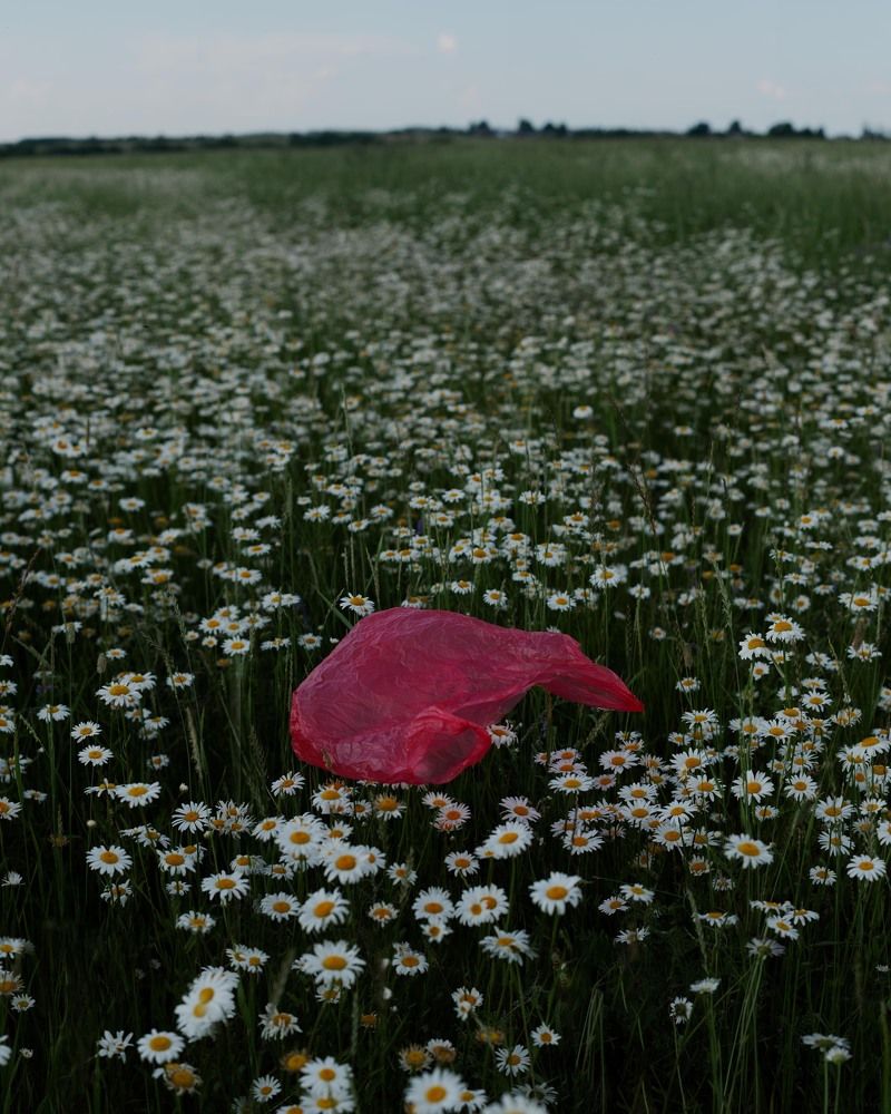 Photograph by Мария Лямина