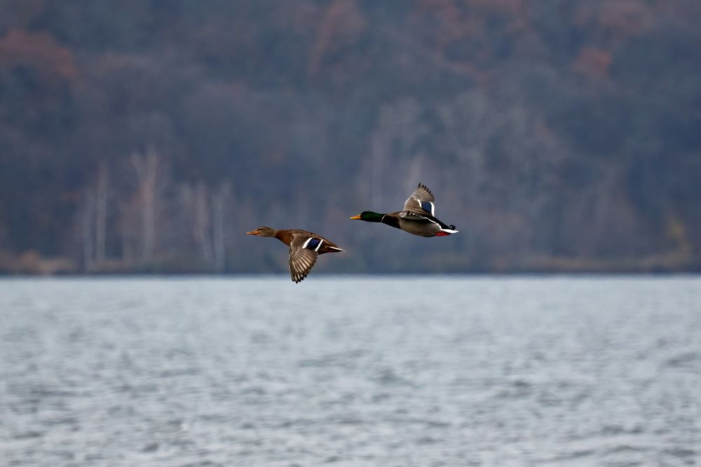 Photograph by Андрей Востриков