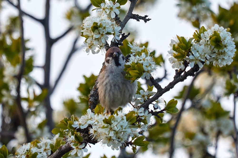 Photograph by Андрей Востриков