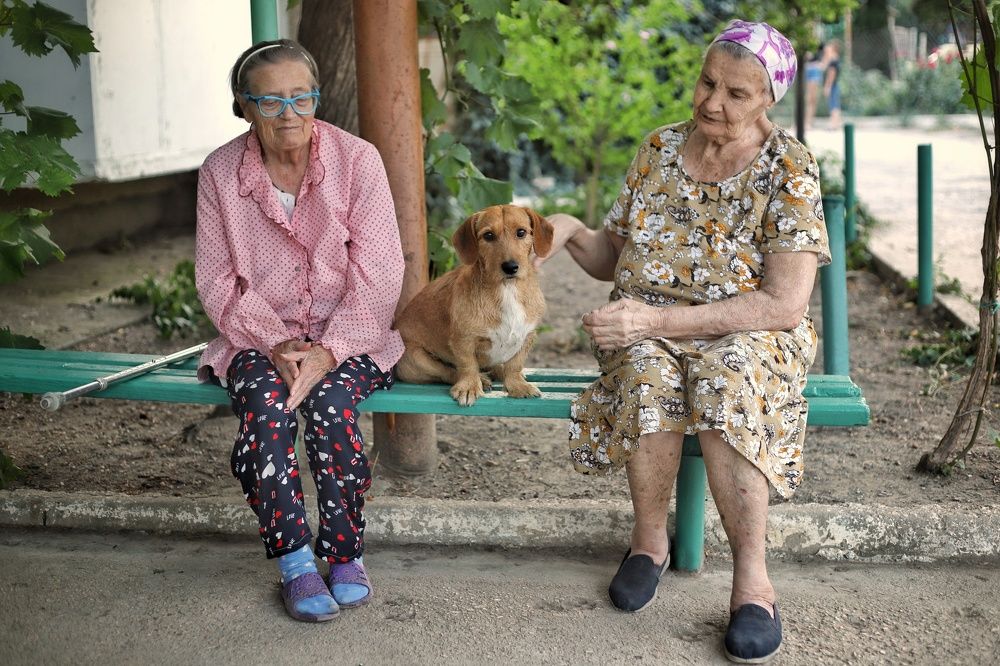 Фотография автора Елена Кириллова