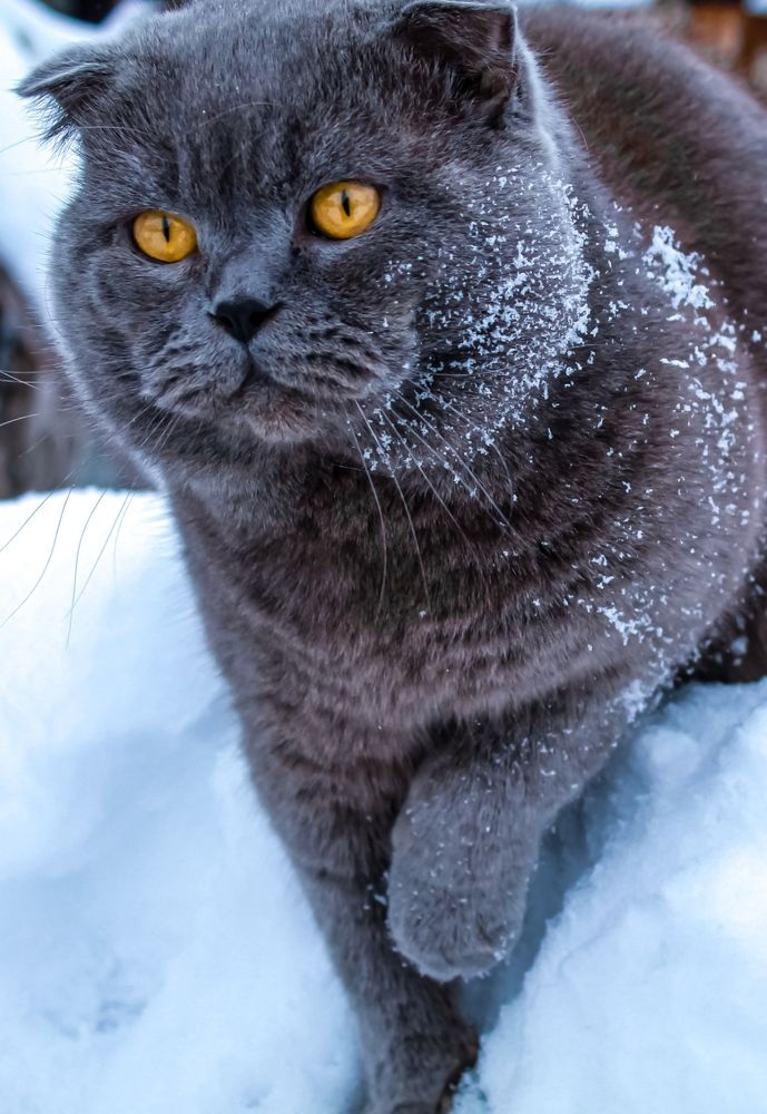 Photograph by Татьяна Слободчикова