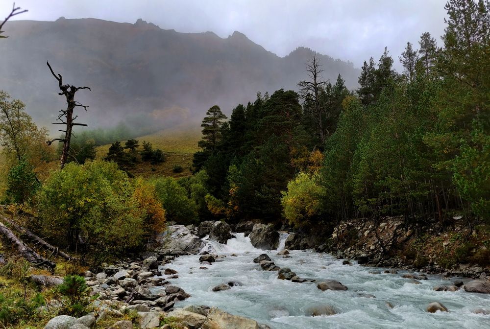 Photograph by Юлия Зубкова