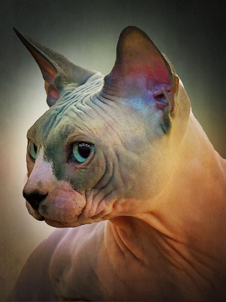 Photograph by Дмитрий Розенбаум