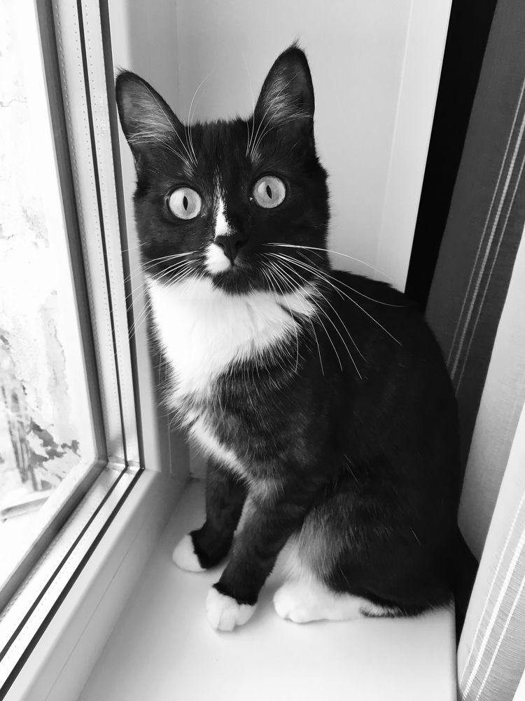 Photograph by Елена Макуха