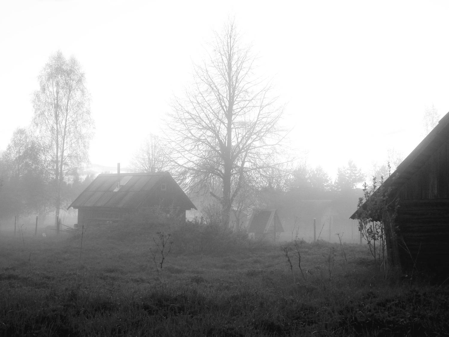 Вечер, туман у бани