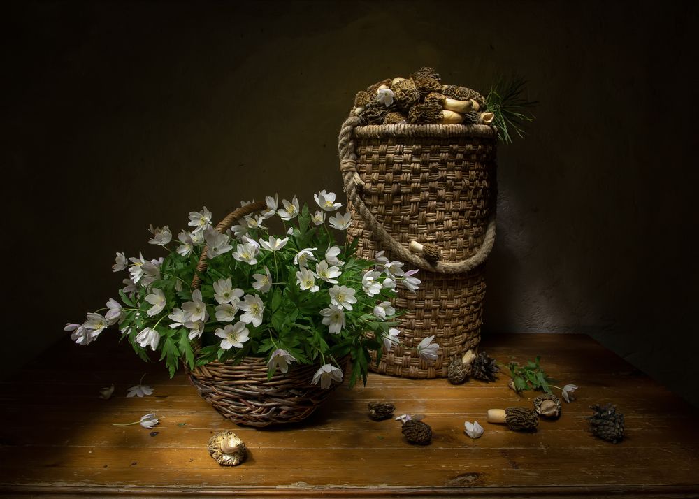 Photograph by 