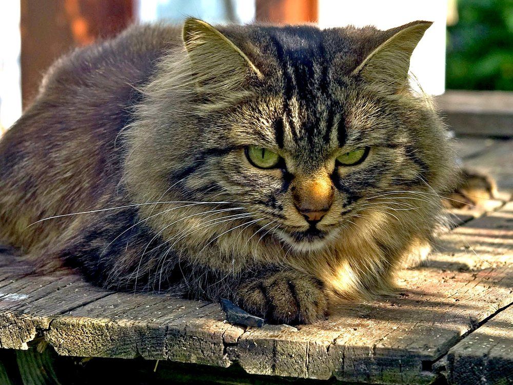 Photograph by Дмитрий Розенбаум