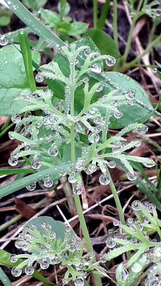 Photograph by Татьяна Солтан