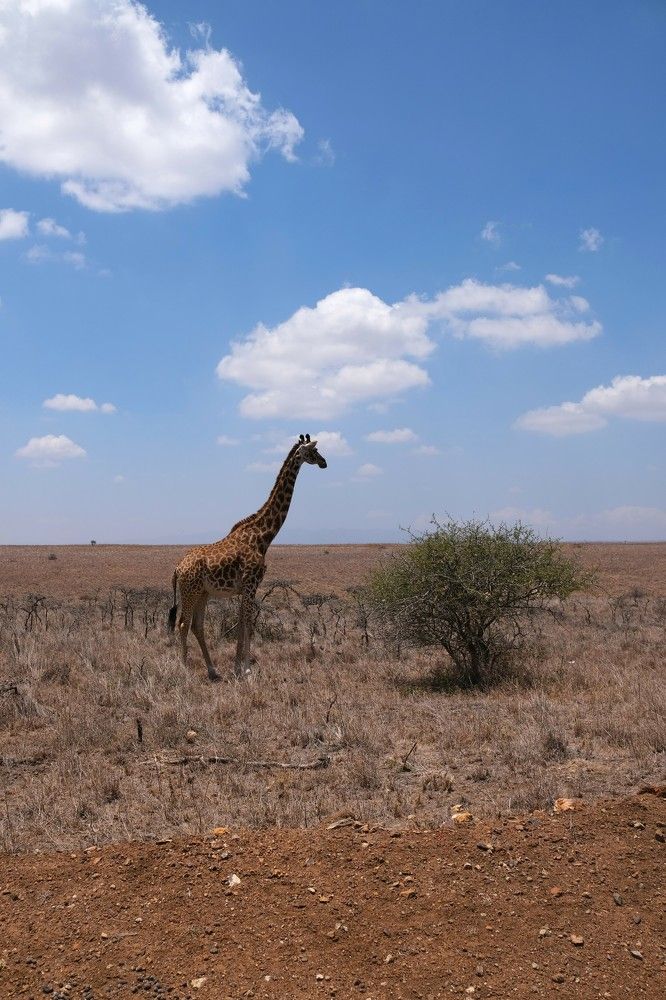 Photograph by Anna Yolshina