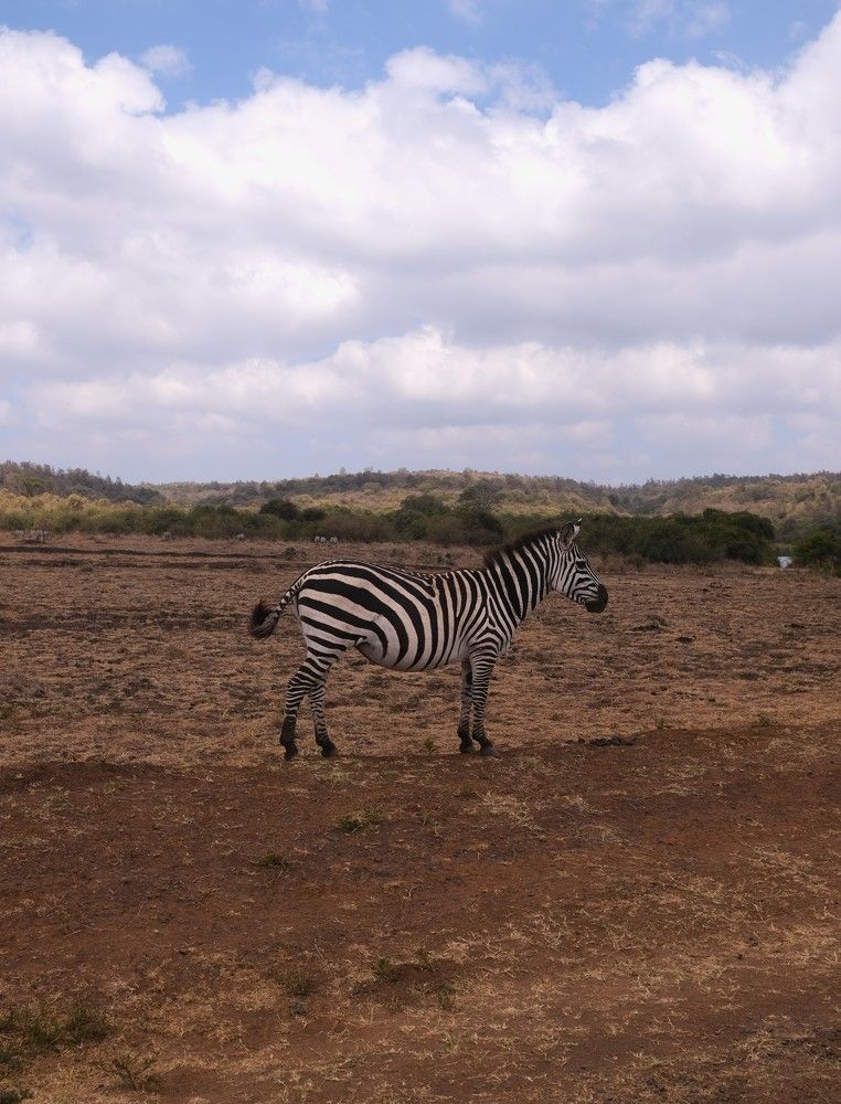 Photograph by Anna Yolshina