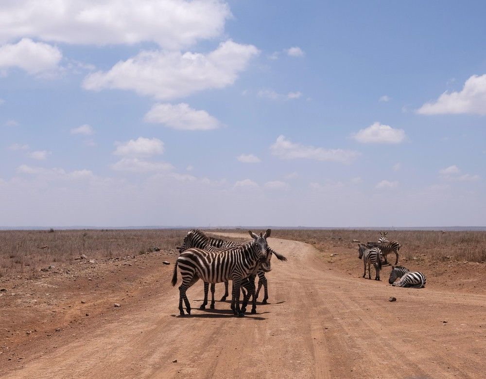 Photograph by Anna Yolshina