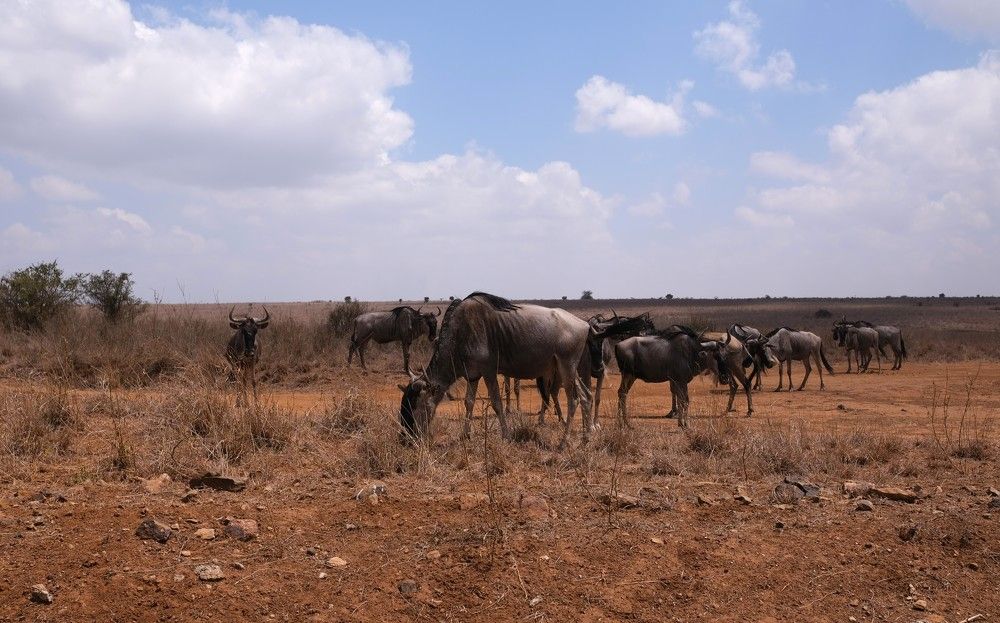 Photograph by Anna Yolshina