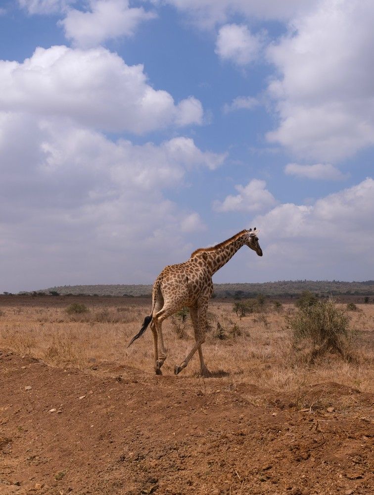 Photograph by Anna Yolshina