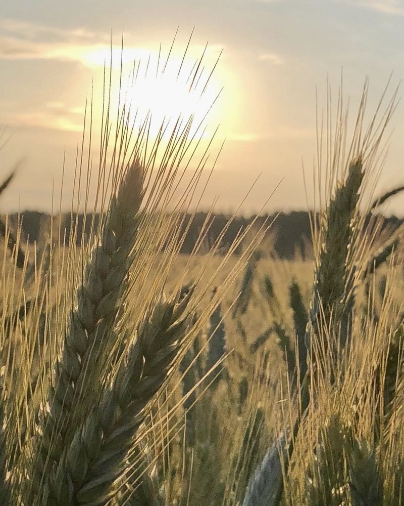 Photograph by Лариса Акинчиц