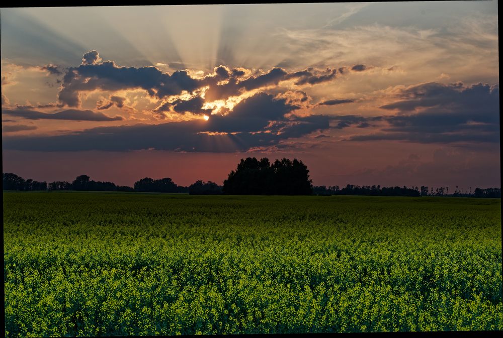 Photograph by Михаил Рогачев