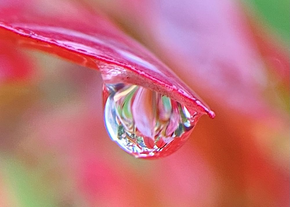 Фотография автора ГУЗАЛИЯ ГАНИЕВА