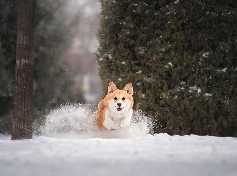 Photograph by Григорьева Юлия