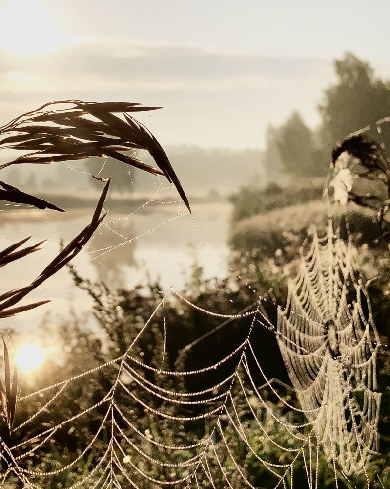 Photograph by Лариса Акинчиц