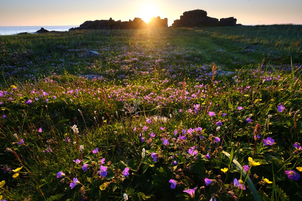 Photograph by Владимир Жерновенков