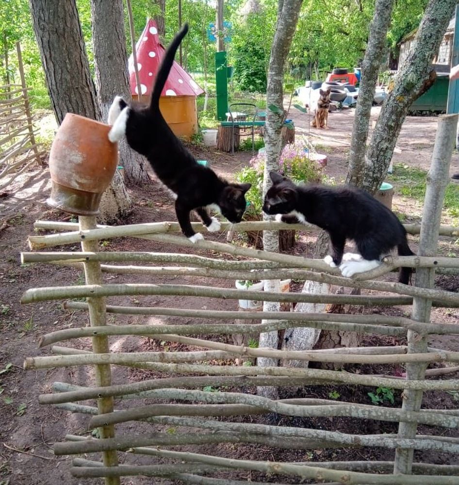 Фотография автора Ирина