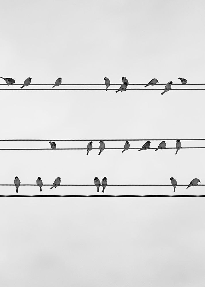 Фотография автора ГУЗАЛИЯ ГАНИЕВА