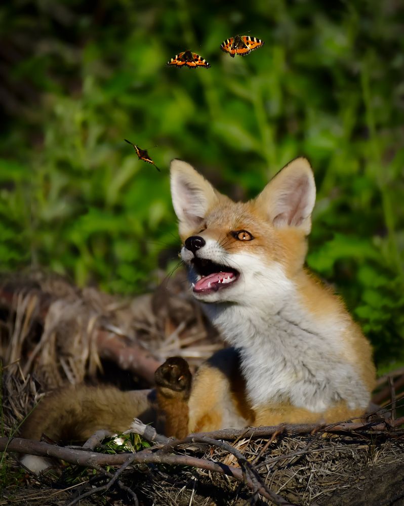 Photograph by Елена