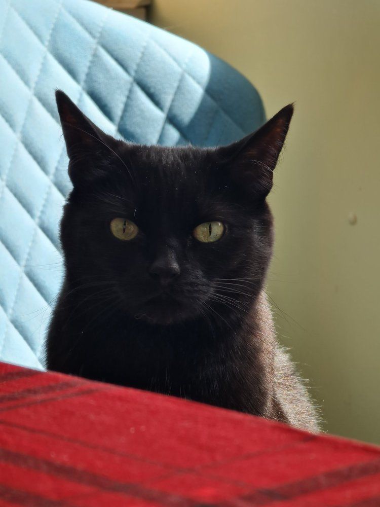 Photograph by Яна Полосина