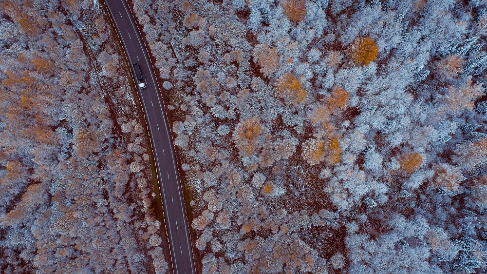 Photograph by Лобачев Юрий