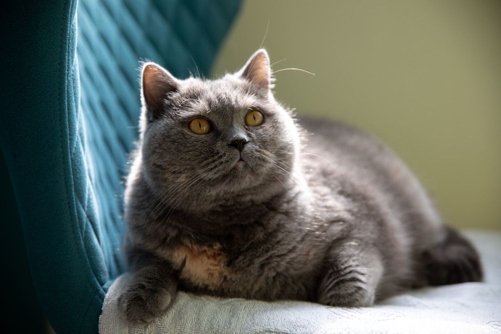 Photograph by Яна Полосина