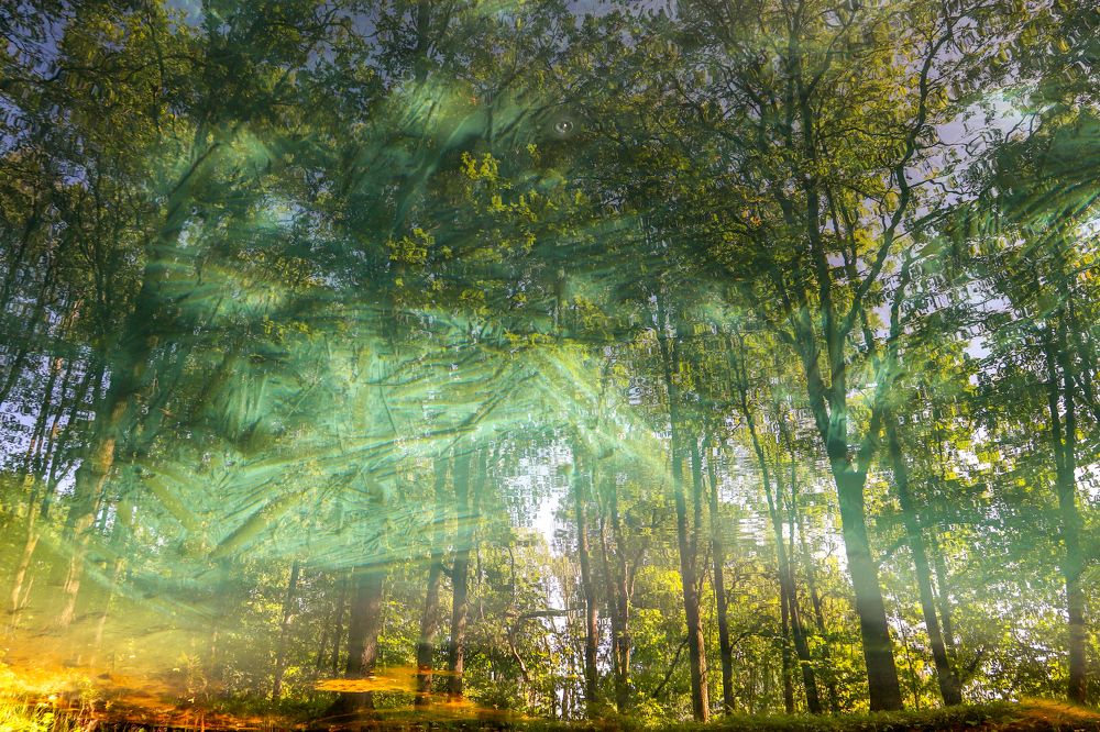 Photograph by Андрей