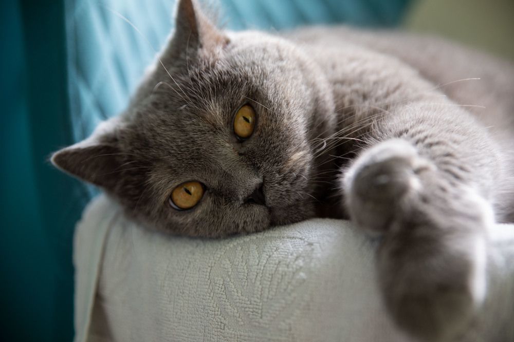 Photograph by Яна Полосина