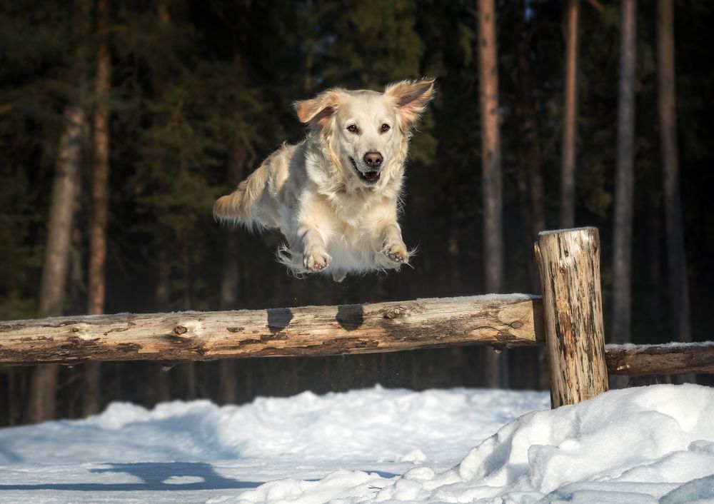 Photograph by Соколова Елена