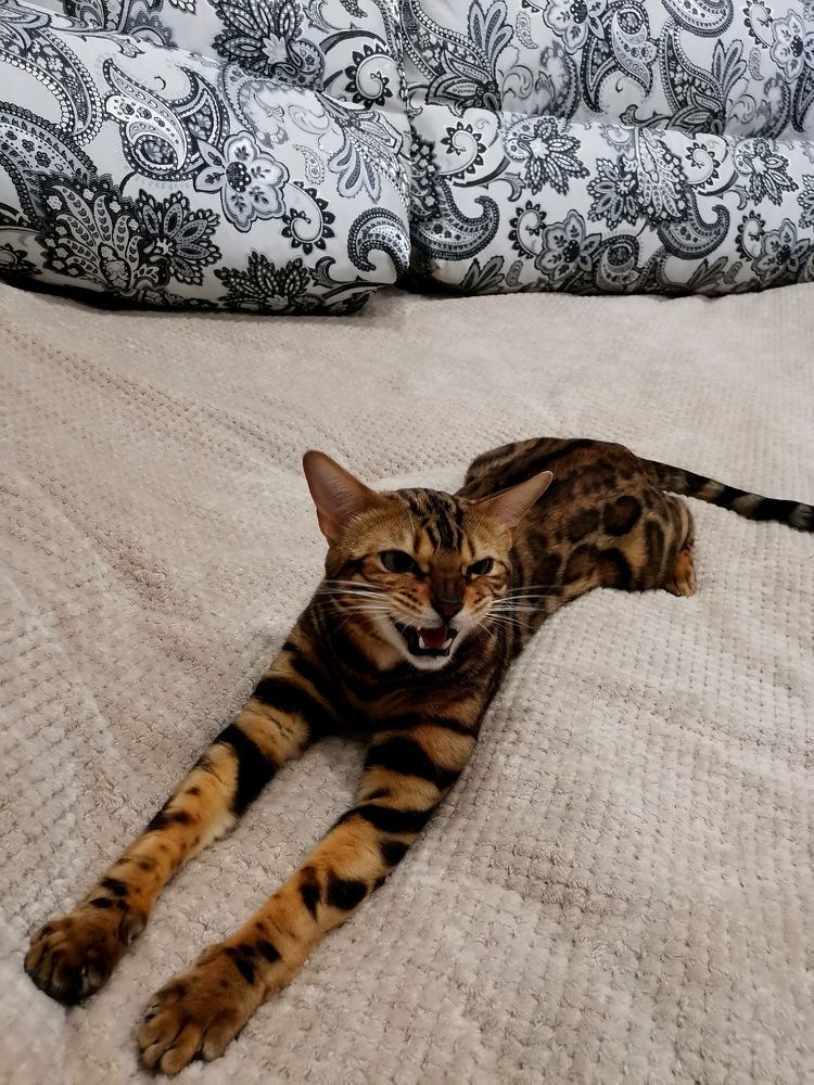 Photograph by Сергей Подлевский