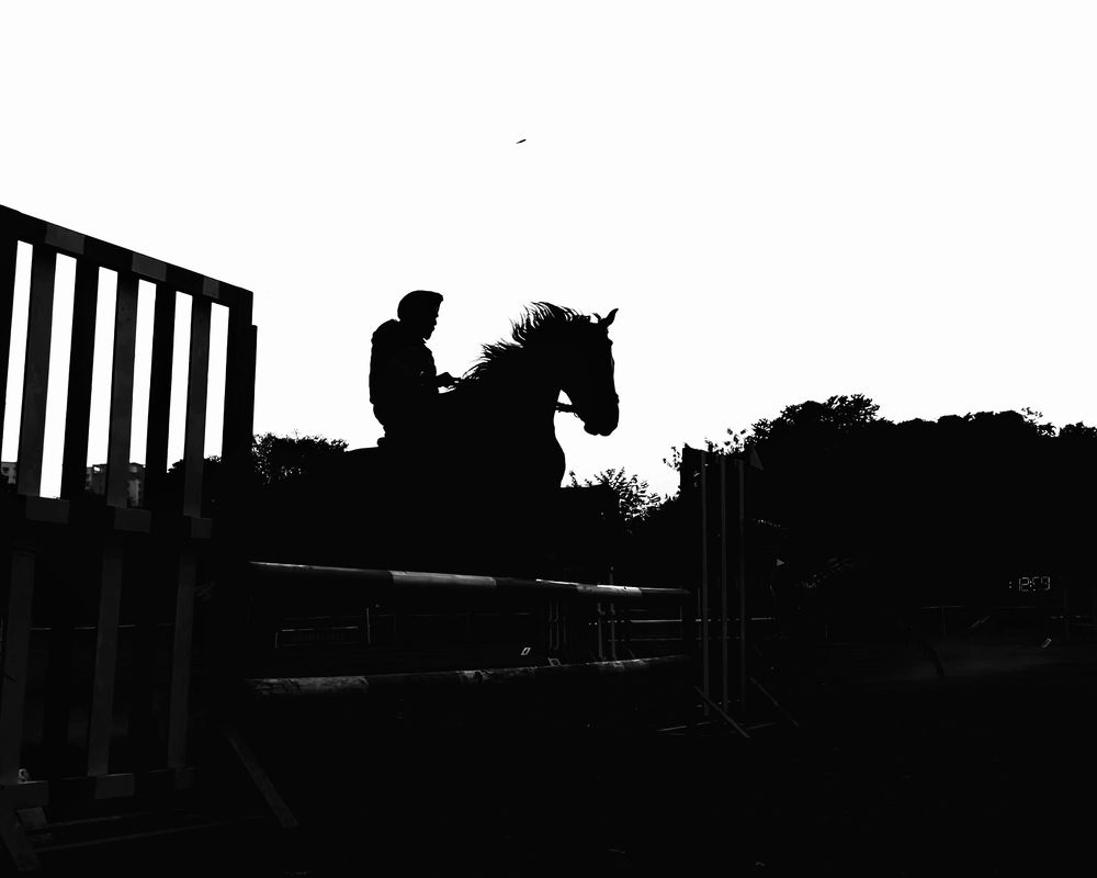 Photograph by Kedar Diwakar Mandakhalikar