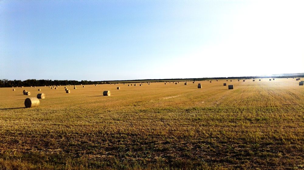 Photograph by Антон