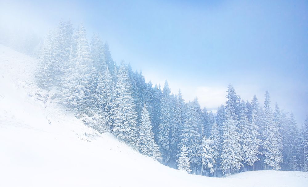 Photograph by Tudor Ghioc