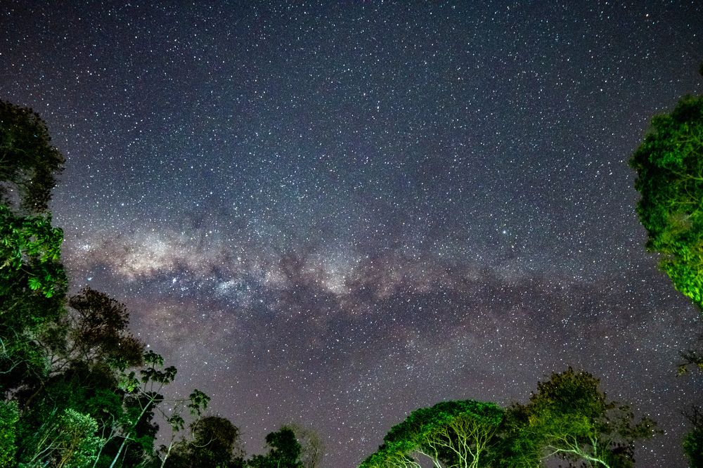 Photograph by Carlos Eduardo Iencarelli,