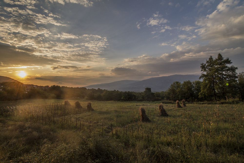 Photograph by iliya levkov