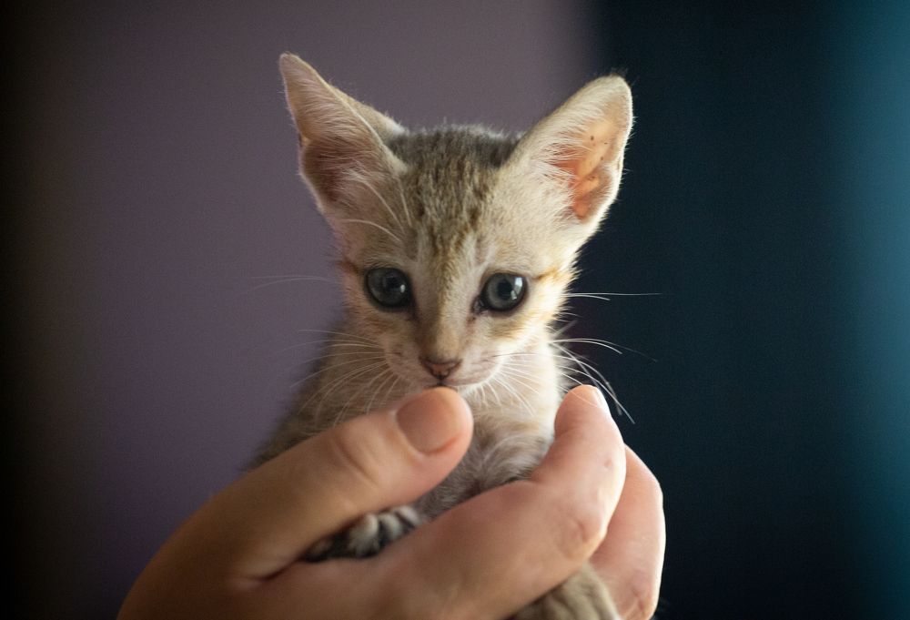 Photograph by Sanja Ristivojevic